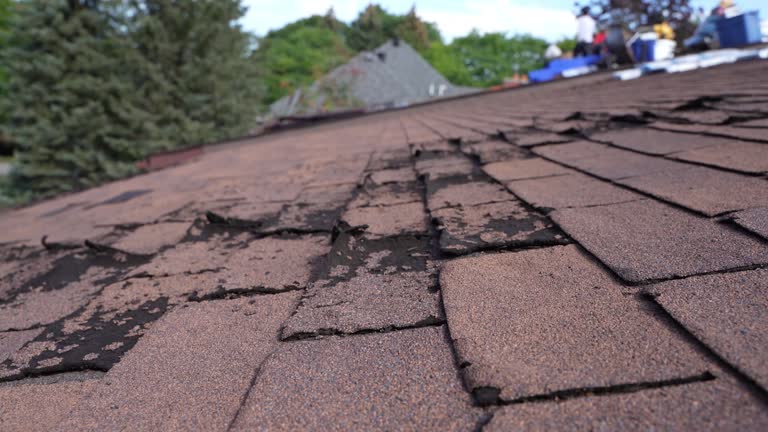 Best Commercial Roofing Services  in Shell Lake, WI
