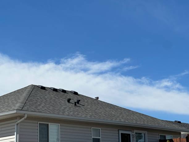 Professional Roofing Service in Shell Lake, WI